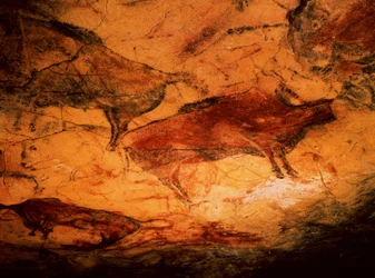 Bison from the Caves at Altamira